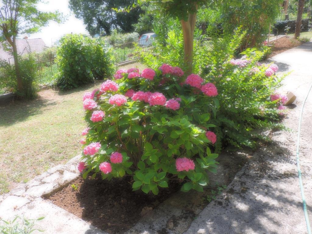 Apartment Bambi Opatija Zewnętrze zdjęcie