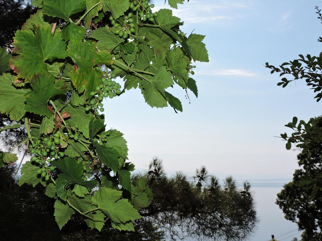 Apartment Bambi Opatija Zewnętrze zdjęcie